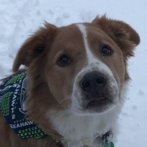 Meet your Posher, Katelyn